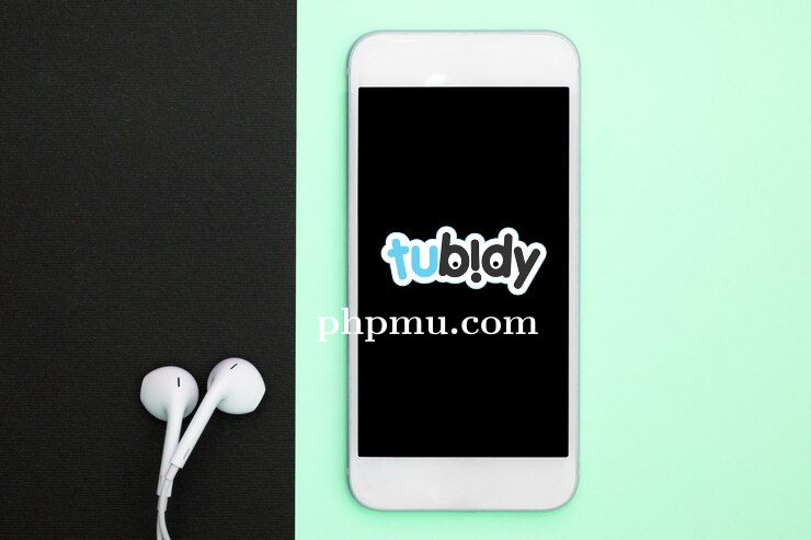 Download Lagu Favorit Tanpa Install Aplikasi Musik dengan Tubidy