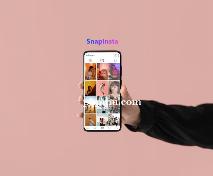 Tutorial Mudah Gunakan SnapInsta Untuk Semua Umur